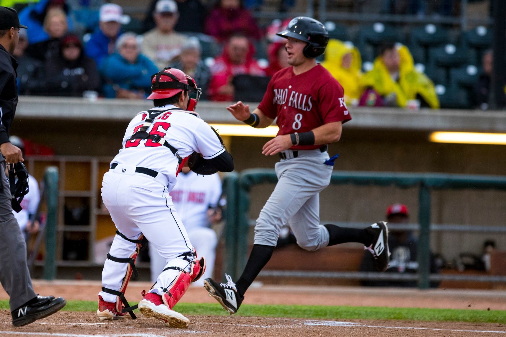 Mustangs vs. Chukars